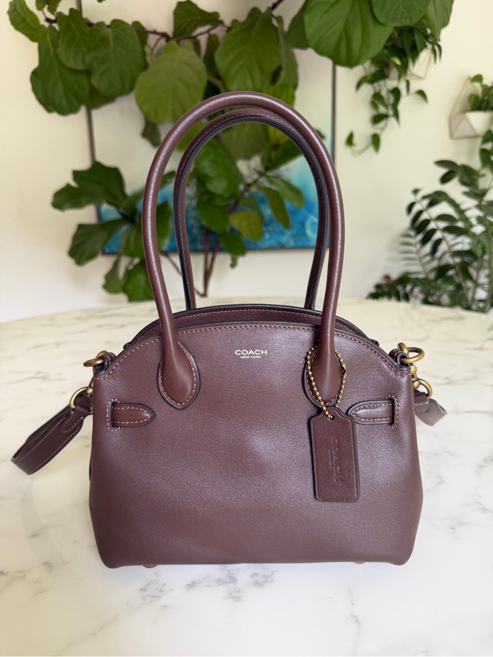 Coach Soft Empire Carryall Bag 21 Maple Brown Brass Leather Crossbody CCY99